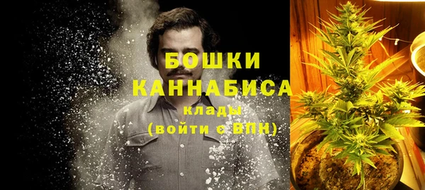 PSILOCYBIN Алзамай