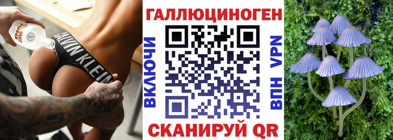 Купить закладки  Енисейск  Галлюциногенные грибы прущие грибы 